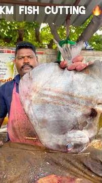 KASIMEDU 🔥 SPEED SELVAM FISH CUTTING VIDEO #kasimeduselvam #fishcutting #speedselvamcutting #shorts