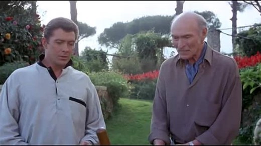 Der Commander 1988 Film Deutsch