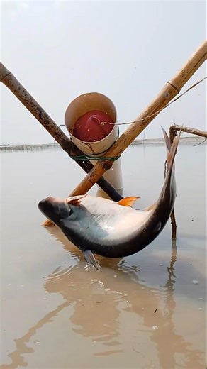 New techniques for catching big fish #bigfish