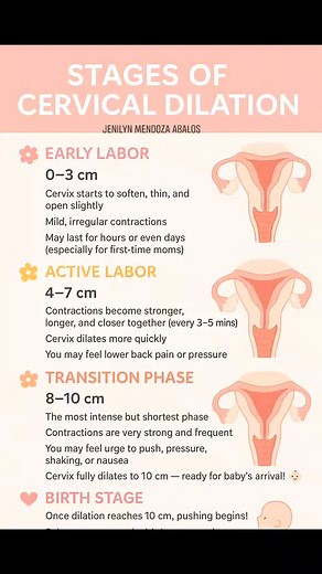 🍓🍒Here’s a clear and simple guide to the Stages of Cervical Dilation 💐🤰👇👇 🌸 1. Early Labor (0–3 cm) Cervix starts to soften, thin, and open slightly Mild, irregular contractions May last for hours or even days (especially for first-time moms) You might still feel comfortable and able to move around 🩷 Tip: Stay relaxed, hydrate, and rest when you can. 🌼 2. Active Labor (4–7 cm) Contractions become stronger, longer, and closer together (every 3–5 mins) Cervix dilates more quickly You may 