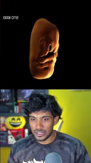 How a Baby Forms in the Womb👶