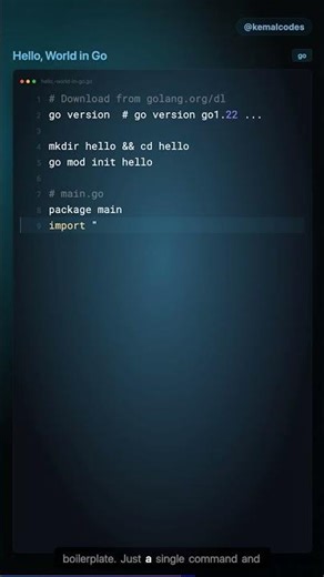 Install Go & Your First Program #Shorts