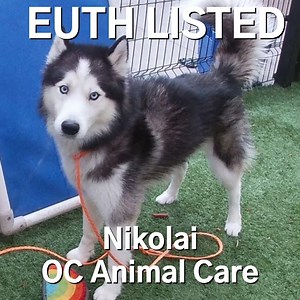 143K views · 1.8K reactions | Happy New Year Update: Nikolai has...