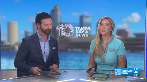 Purina Incredible Dog Challenge begins at Coachman Park this weekend