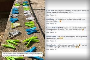 Cleaning fans are obsessed with photo of clothes pegs arranged in same-colour pairs