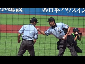 【審判ウォッチ（試合開始直前編）】この日が一軍公式戦初出場の古賀真之審判員の様子を中心に、試合開始直前の審判団の様子【2023.6.17 東京ヤクルト vs オリックス ２回戦】