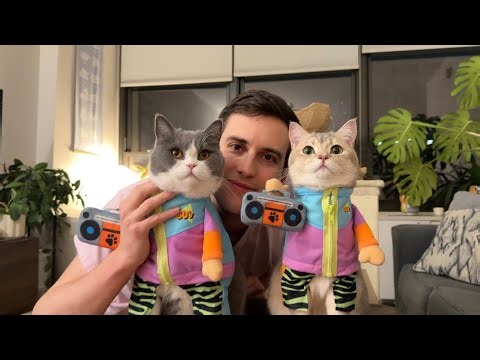 Day in the Life of Two Talking Cats