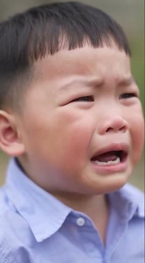 tâm sự tết tý mà căng quá | nhạc tết 2026