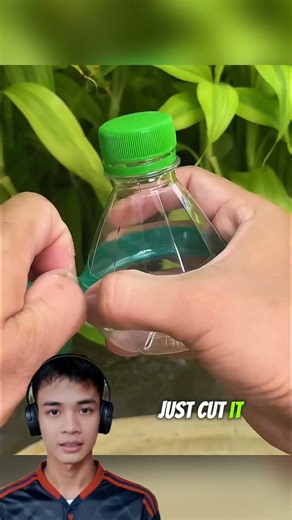 How to Make a Toothpick Dispenser from a Used Bottle #shorts