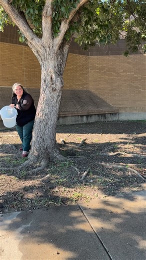 Visit one of our three locations to get your library card today! #nolibrarianswereharmedinthemakingofthisvideo #libraries #librarycard #read #books #gplibraryadventures | Grand Prairie Libraries