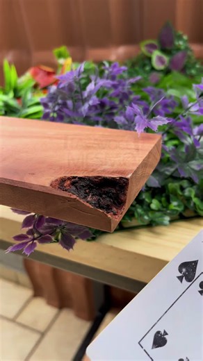 Ancient Wood Repair Techniques by Carpenter