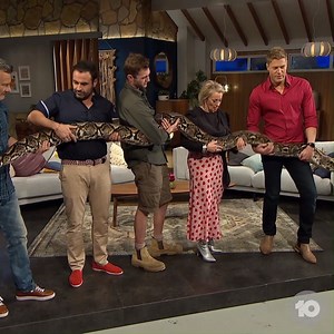 21K views · 363 reactions | WARNING: If you're afraid of snakes keep scrolling  Watch as we go on the hunt for a massive 5.7m scrub python. | The Living Room | Facebook