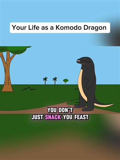 Why it's Awesome being a Komodo Dragon #animated #trending #komododragon #wildlife