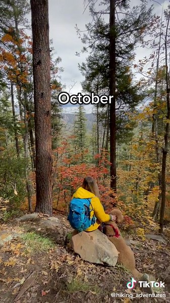 How my fall in Arizona went…Flagstaff, Payson/Mogollon Rim, Sedona and Verde Valley, Southern AZ.