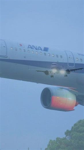 大阪伊丹空港 千里川土手 4k60Fps a7V fe70-200gm2