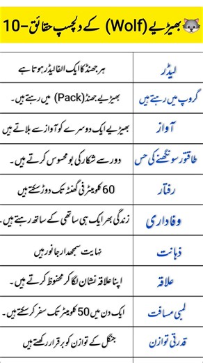 10 Amazing Facts About Wolves | Wildlife Facts 🐺