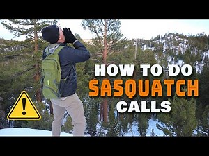SASQUATCH Calls in the WILD! Tree Knocks and Howls.