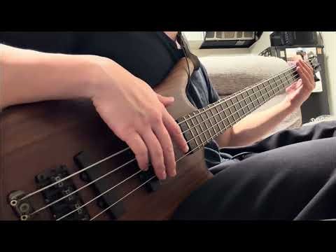 Mudvayne - Dig (Bass Cover)