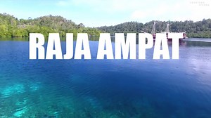 237K views · 4K reactions | Meet the majestic Oceanic Manta Ray...