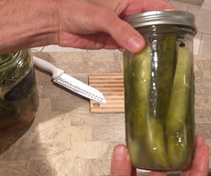 How to Easily Make Fermented Dill Pickles & the Benefits Of