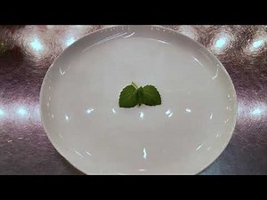 Blue Spice Basil Plant Profile