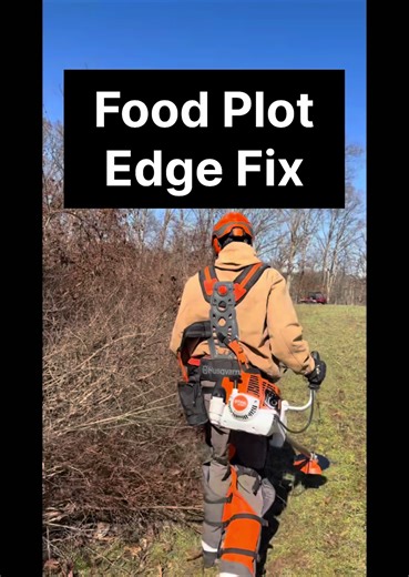 Improve Your Food Plots by Softening Edges