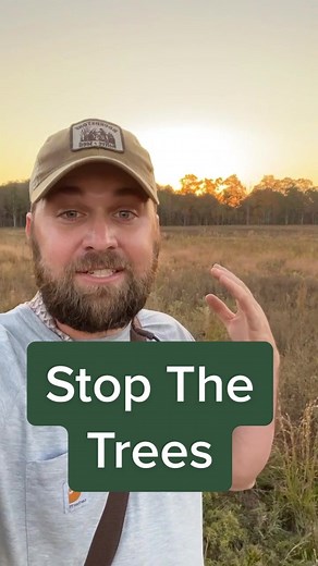 The Neglected Ecosystem: Grasslands Deserve More Attention