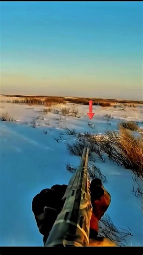 Unexpected rabbit hunt with shotgun perfect shot #hunthowdown #hunting #rabbit #rabbithunting