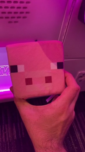 Minecraft pig in a claw machine? #clawmachine #daveandbusters #minecraft #fyp