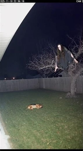 “We Are Scared Watching This ORIGINAL CCTV… Witch or Alien? You Decide.”