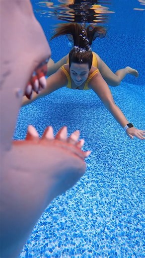 Shark Attack Encounter in a Swimming Pool