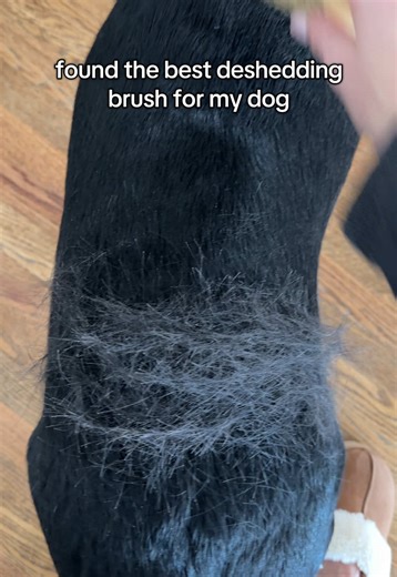 The Best Deshedding Brush for Dogs