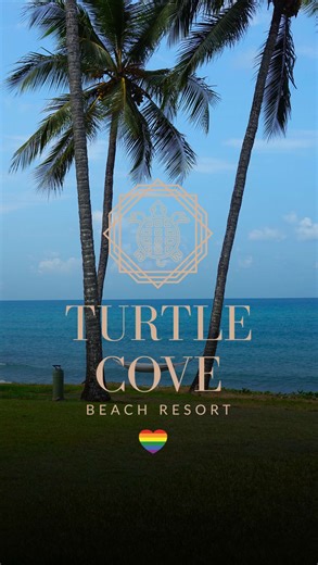 If you’ve been dreaming of a tropical beach getaway, this is your sign to go! ✈️🏝️ Turtle Cove has a range of rooms available to suit you! ☀️ . . . #adultsonlyresort #lgbtqia #clothingoptional #paradisefound #queensland