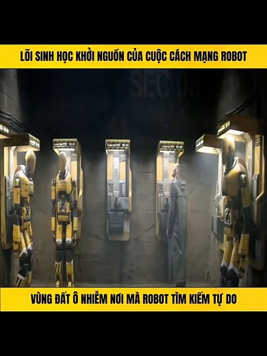 Phim Hành Động Hấp Dẫn Về Robot Và Con Người