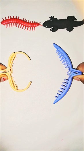 कनखजूरा vs छिपकली #Kankhajura Vs #Lizards #shorts #shortsfeed #viralvideo