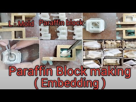 Embedding || Paraffin Tissue Block || Histopathology में Blocking करना सीखें || L -Mold