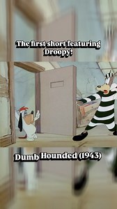 21K reactions · 2.2K shares | The first appearance of #droopy in a short that gave #mgm a new starring character! From Dumb Hounded (1943) by #texavery #animation #classiccartoons #animationreview #retro #cartoonnetwork #classicanimation #historynerd #vintagecartoons | Anthony's Animation Talk | Facebook