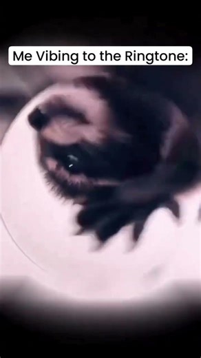 why he is not picking up ?