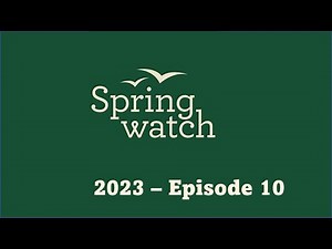 Springwatch 2023 Episode 10
