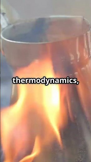 Physics 101 Basic Branches Explained!