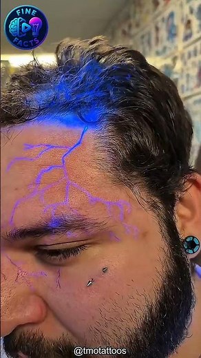 Intresting Facts about Uv Tatoo #finefacts #top3facts #shortsfeed