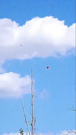 ShotKam sporting clays footage #shortsfeed