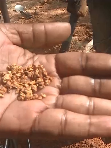 Zambia Advances Mercury-Free Gold Mining By Daisy Mulenga The PlanetGOLD Zambia Project has completed geological feasibility studies at ten artisanal and small-scale gold mining sites, where mercury-free gold processing will be piloted. PlanetGOLD Zambia Project National Manager ABIGAIL MWAILENGE says the new processing systems will be piloted in Chisamba and Mpika as Zambia advances towards safer and more sustainable mining practices. She explains that the initiative is part of the Government’s