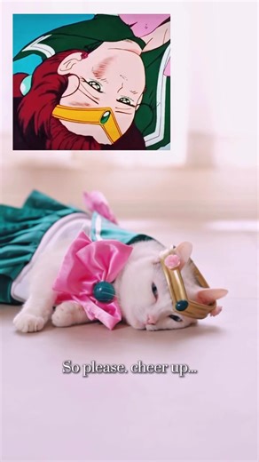 Sailor Jupiter🎀🥹 (The finale of Sailor Moon) 💕Cr: (IG)kira_h.p #sailormoon #sailormooncosplay #sailorjupiter #sailorjupitercosplay #cosplay #cosplayer #whitecat #catcosplay | EZCosplay Costumes