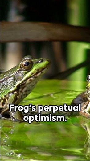 Frog and Toad: A Detailed Tale!