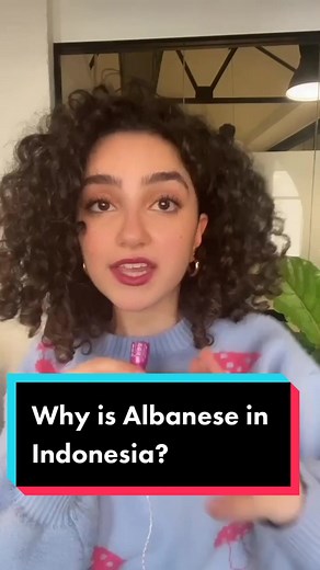 Australian prime minister Anthony Albonese is in Indonesia. Here’s why that matters. #Australia #Auspol #Auspolitics #indonesia #Albo #Learnontiktok #edutok #pacific
