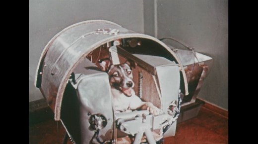 60 years on - Laika the dog in space