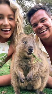 7.5K views · 318 reactions | Unwrap the magic of adventure this...