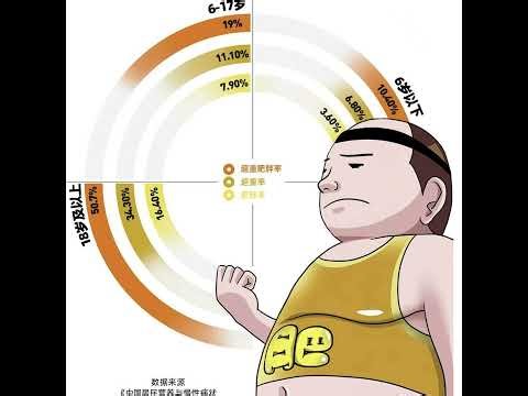 中国的肥胖问题｜China's Overweight Problem