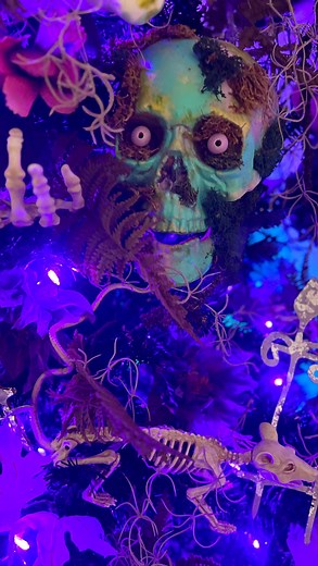 Here’s how we made our moss skulls for our 7th annual Halloween tree! Love taking a cheap plastic skull and giving it life!! Start off by placing your skull on a roll of tape to help keep it steady as you work. Begin to layer different colors of acrylic paint. We started off with blues and purples and then went with greens and teal. As your paint dab it off with a paper towel so you don’t see any brushstrokes and you see a bit of the skull coming through. Let it dry and begin to hot glue moss in